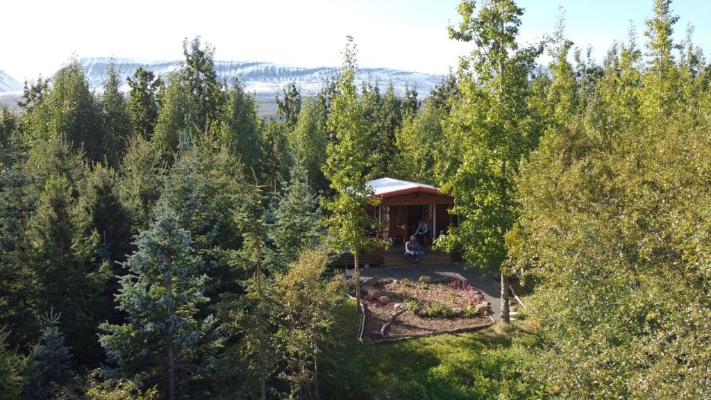 Bakkakot 1 - Cozy Cabins in the Woods — 1
