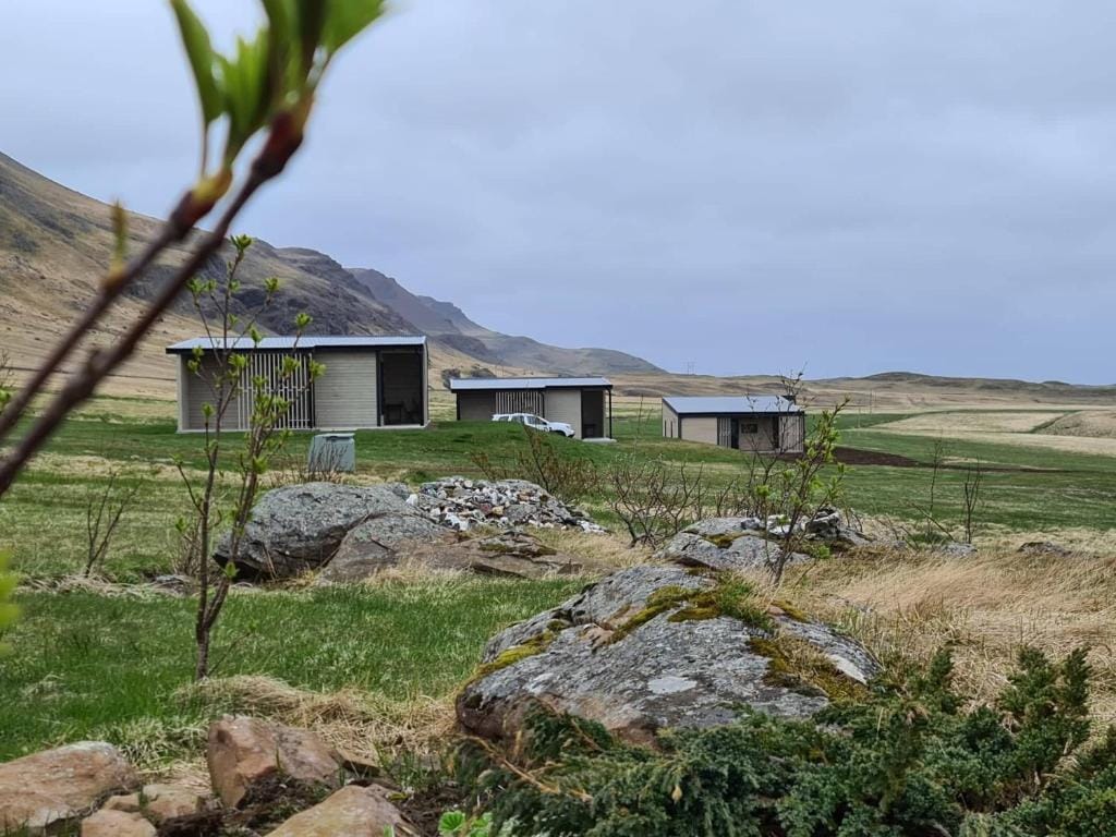 Krákhamar Apartments — 5