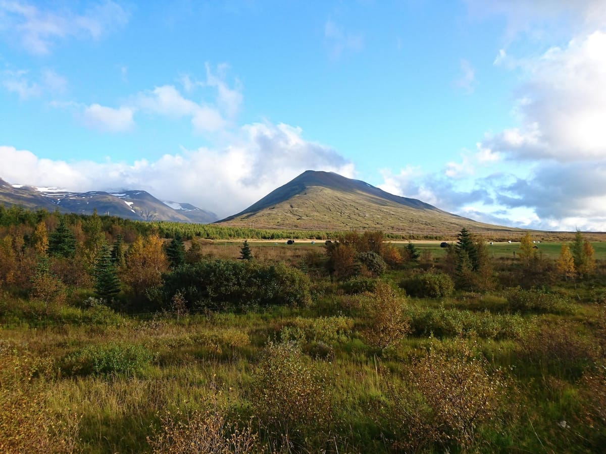 Stóra Sandfell Rooms and Cottages — 4
