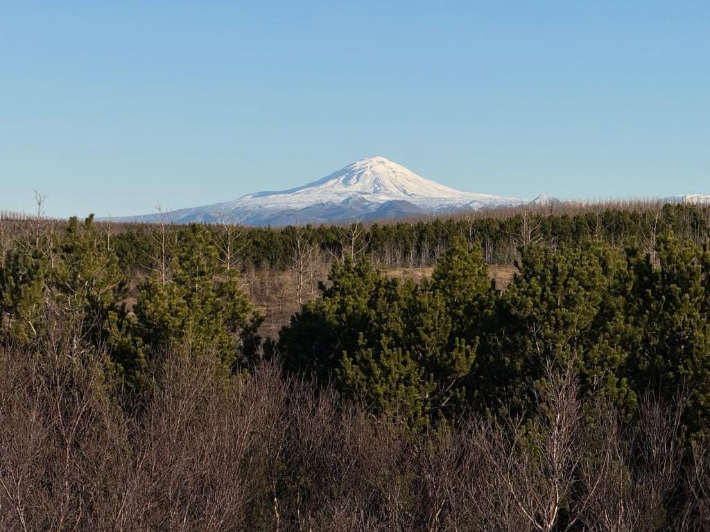 Traditional Cabins with Hekla volcano view — 1