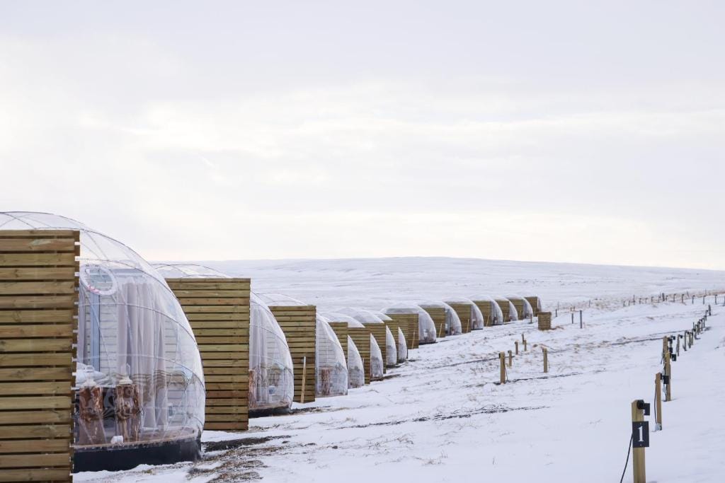 Aurora Igloo North — 2