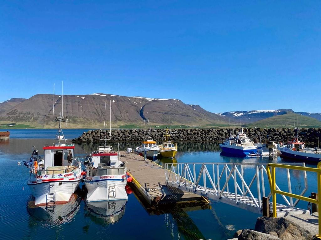 KEX Þingeyri — 5