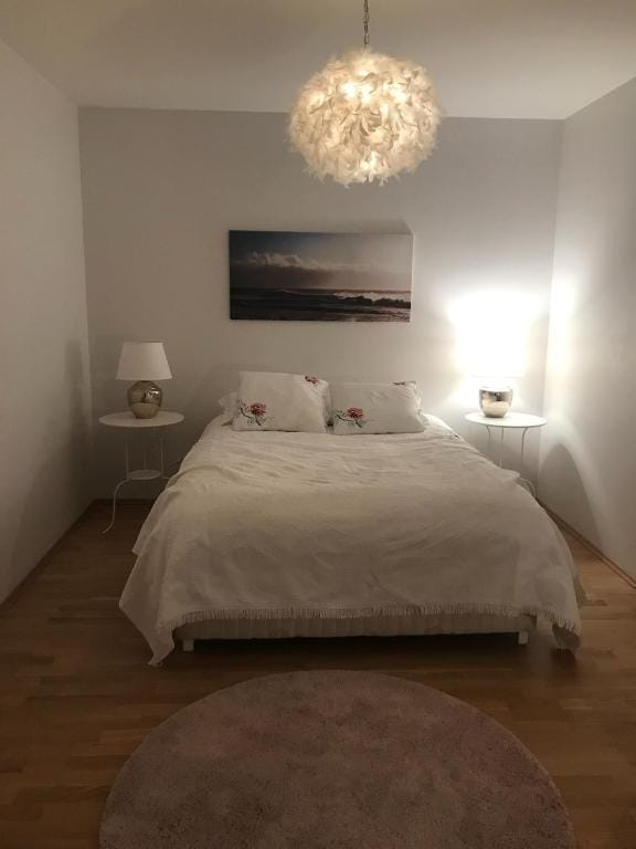 Casa Dísa - Apartments A Boutique Guesthouse in Reykjavik City`s Central Park and Botanical Garden in Laugardalur, Hot-Spring-Valley — 4