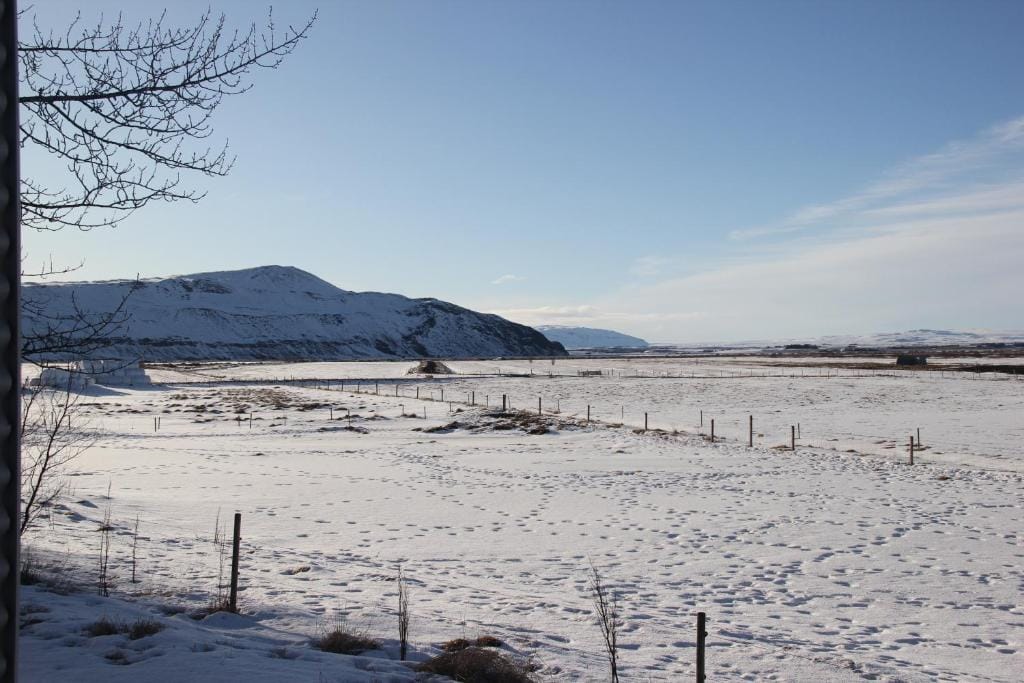 Svala Guesthouses — 5